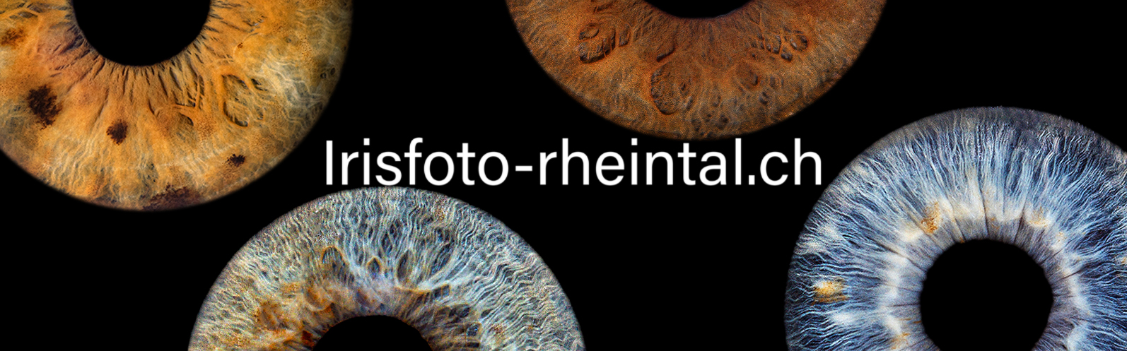 Irisfoto-rheintal.ch